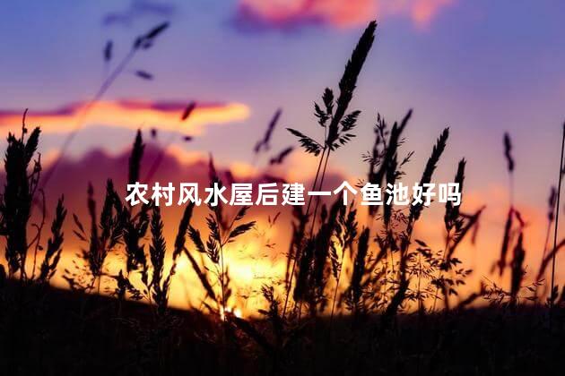 农村风水屋后建一个鱼池好吗 鱼池在房子哪个位置好