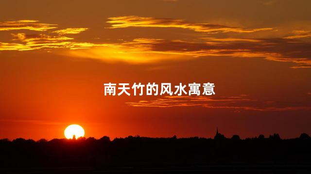 南天竹的风水寓意 南天竹种在家风水好不好