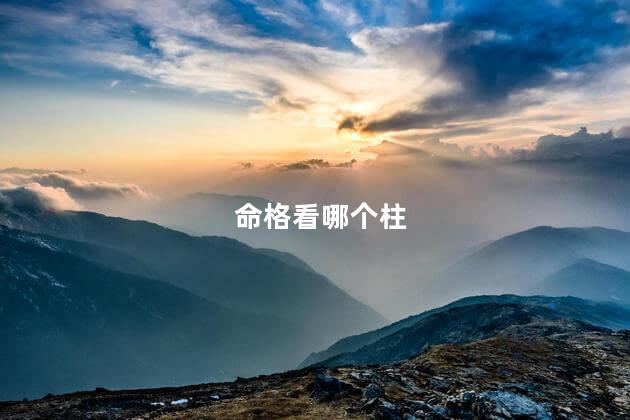 命格看哪个柱 命最苦的十大日柱
