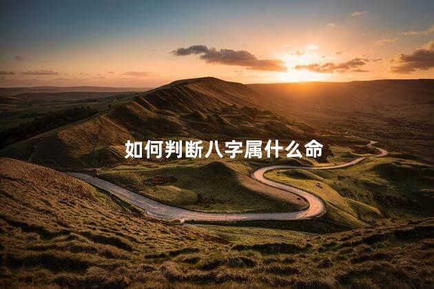 如何判断八字属什么命 四柱哪个是自己的命格