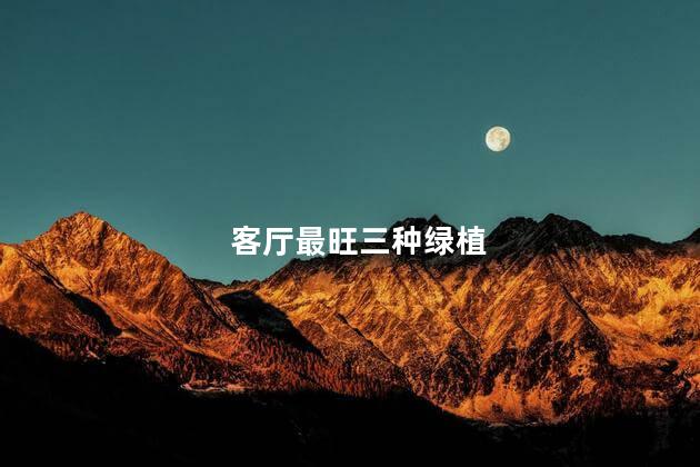 客厅最旺三种绿植 南天竹对风水好吗