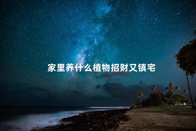 家里养什么植物招财又镇宅 开门正对面放绿植合适吗