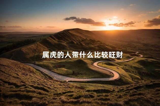 属虎的人带什么比较旺财 五大生肖不宜戴玉